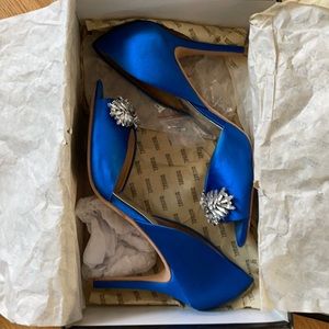 Badley Mischka Nikki Royal Blue Pumps (size 8M).